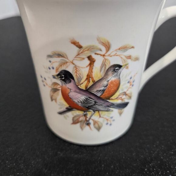 Queen's Rosina Fine Bone China Coffee Mugs Birds of America Series 1 Set of 2 - Picture 4 of 10